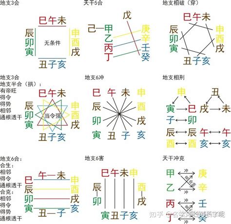 地支酉|酉（十二地支之一）